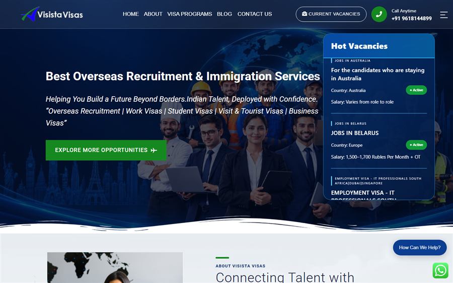 Visista Visas website